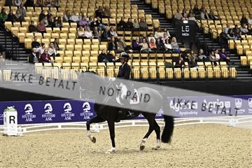 182194_kbb_03_Z090437.JPG