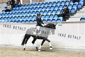 182241_kbb_01_Z094269.JPG