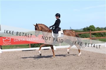 181449_bc_01R62_6046.JPG