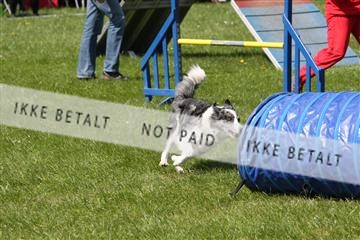 134871_ms_02_IMG_3060.JPG