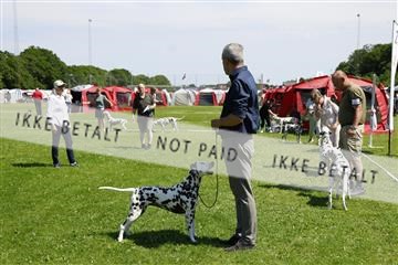 181564_kar_01__62_7583.JPG