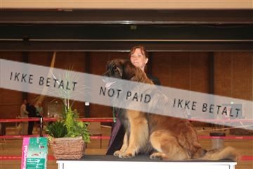 124188 _tl_02_IMG_9690.JPG