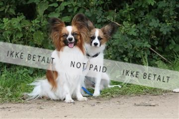 130370_se_01_IMG_5343.JPG