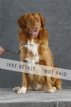 5493_sme _02__MG_9726.JPG