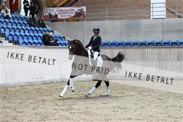 182241_kbb_01_Z093285.JPG