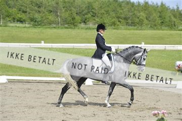 140040_abo_01__AB17308.JPG