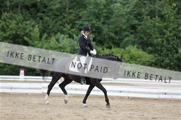 156196_nn_01_IMG_6362.JPG