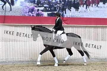 182241_kbb_01_Z093383.JPG