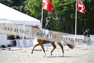 181449_kbb_02_6II0426.JPG