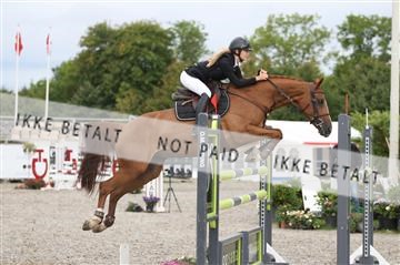 152762_nn _05_IMG_7573.JPG