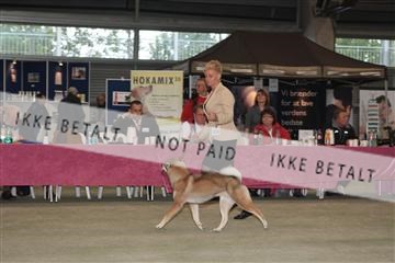126168_se_01_IMG_0407.JPG