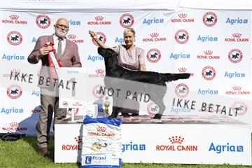 181564_ch_01__62_9676.JPG