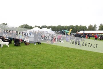 182009_kar_01__62_5276.JPG