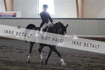 139267_kl_1_8M1Q6775.JPG