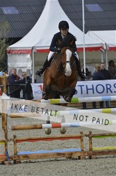 139644_abo_01__AB14174.JPG