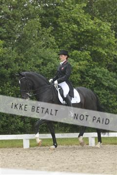139835_sg_02_IMG_8896.JPG