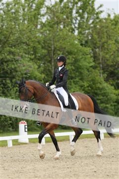 139835_sg_01_IMG_8252.JPG