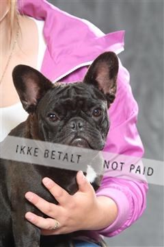 130054_le_ 01_0124.JPG