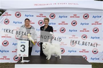 181848_kar_01__62_4635.JPG