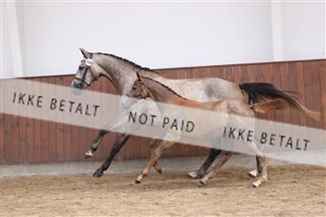 181755_bc_01R62_1365.JPG