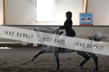 139267_kl_1_8M1Q6993.JPG