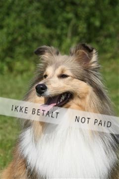 130370_se_02_IMG_6131.JPG