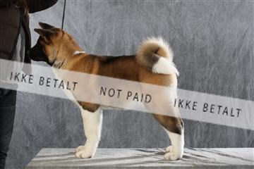 128239_le_ 06_0037.JPG