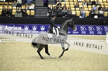 182194_kbb_02_Z099240.JPG