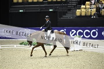 182194_kbb_01_Z096652.JPG