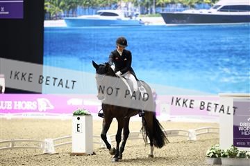 182194_avh_07_4153.JPG
