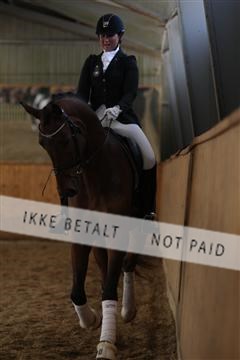 139206_kl_1_8M1Q5282.JPG
