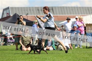 181564_rin_01_R62_8206.JPG
