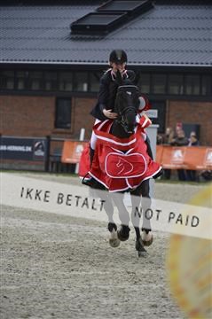 139644_abo_07__AB15768.JPG