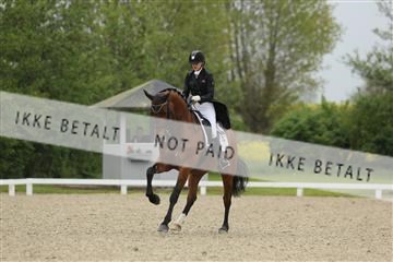 139835_sg_01_IMG_8291.JPG