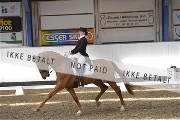 139422_bc_05__BC26303.JPG