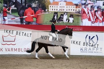 181957_avh_01_4523.JPG