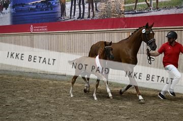 181754_kbb_01_Z094171.JPG