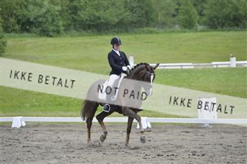 140040_abo_01__AB16595.JPG