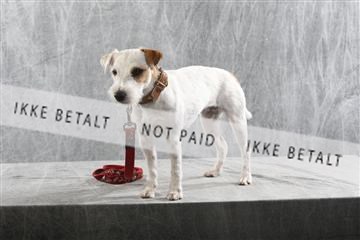 129608_le_ 02_0042.JPG