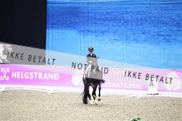 182194_avh_05_2333.JPG
