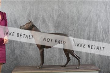 129608_le_ 01_0262.JPG