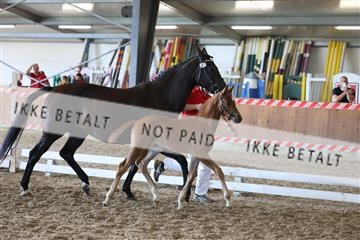 181756_mtp_03_R62_3026.JPG