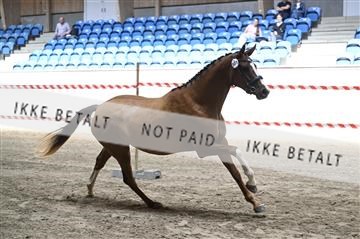 181754_kbb_01_Z093314.JPG