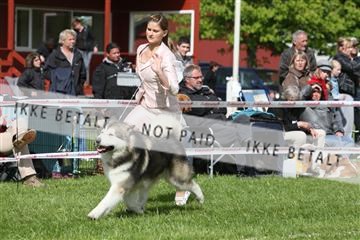 134871_ms_04_IMG_0735.JPG
