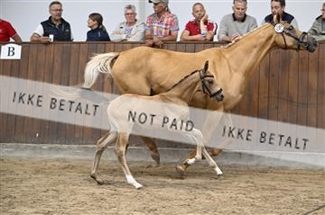 181739_kbb_01_Z091778.JPG