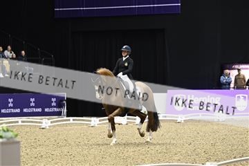 182194_kbb_03_Z090281.JPG