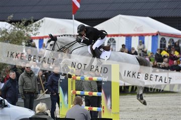 139644_abo_10__AB11030.JPG