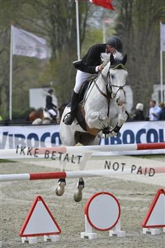 139644_abo_01__AB14159.JPG