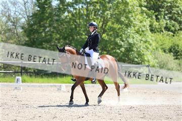 168732_mtp_01_3M5A7613.JPG