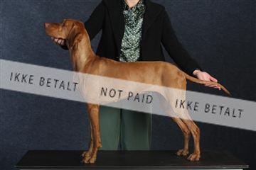 132082_le_ 01_IMG_0702.JPG